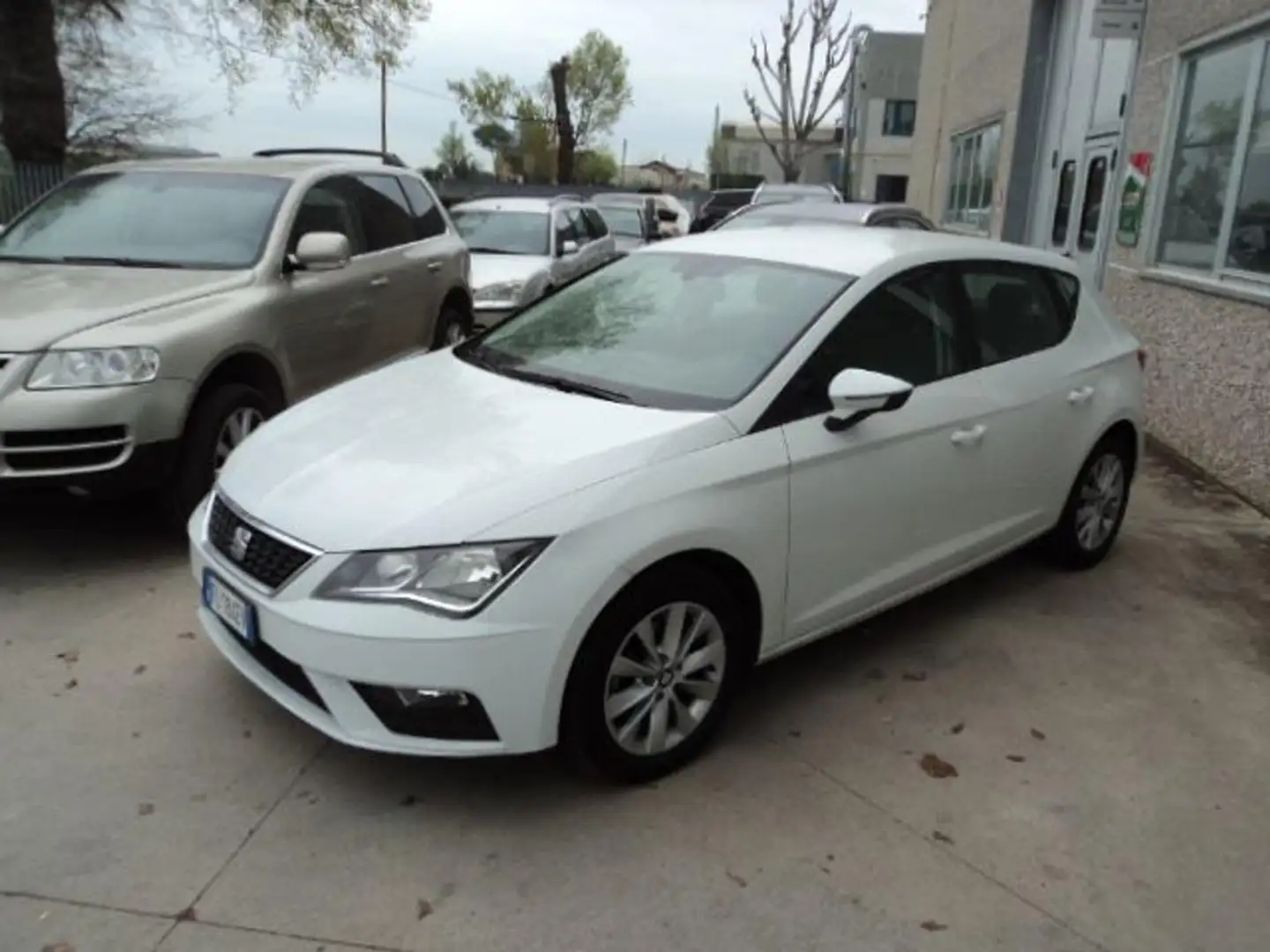 SEAT Leon 1.6 TDI 115 CV 5p. Business Bianco - 1