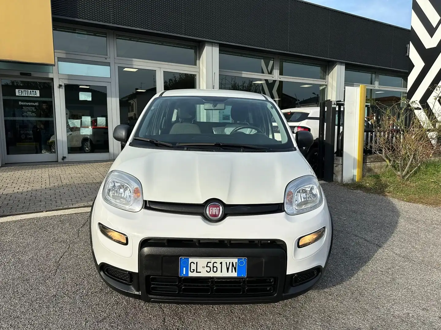Fiat Panda Panda 1.0 FireFly S&S Hybrid Blanc - 2
