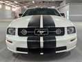 Ford Mustang V8 GT Premium Blanc - thumbnail 1