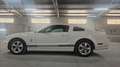 Ford Mustang V8 GT Premium Blanc - thumbnail 2