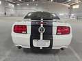 Ford Mustang V8 GT Premium Blanc - thumbnail 4