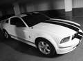 Ford Mustang V8 GT Premium Blanc - thumbnail 5