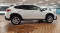 Subaru XV XV 1.6i Style lineartronic my19 Bianco - thumbnail 3