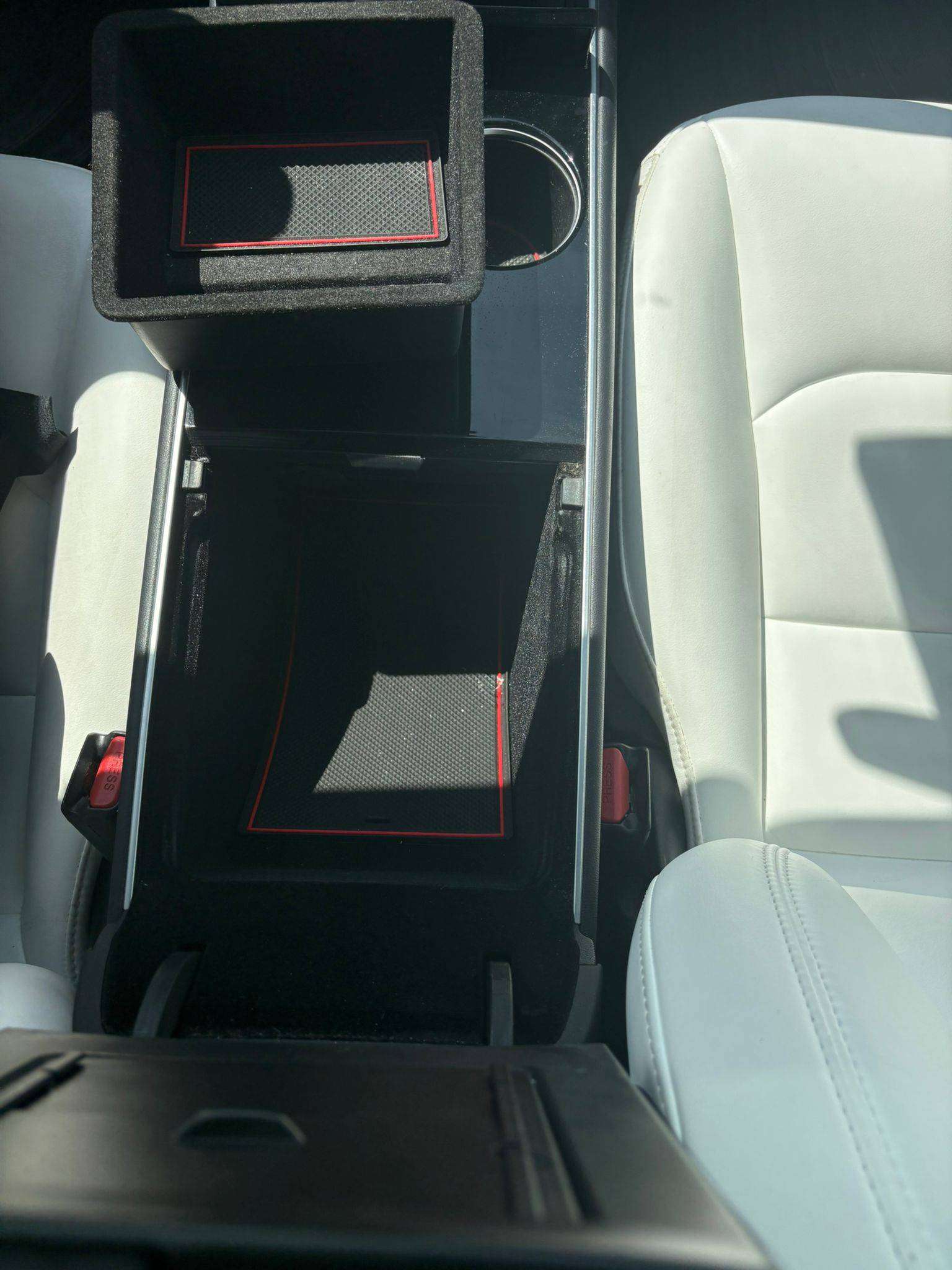 2020 Tesla Model 3 Standard Range Plus alt 3