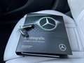 Mercedes-Benz C 250 Premium Plus|Pano|360 Cam.|Sfeer Bleu - thumbnail 37