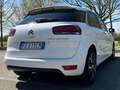 Citroen C4 SpaceTourer C4 Spacetourer 1.6 bluehdi Business s Bianco - thumbnail 3