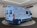Hymer/Eriba Camper Van Yosemite Weiß - thumbnail 8