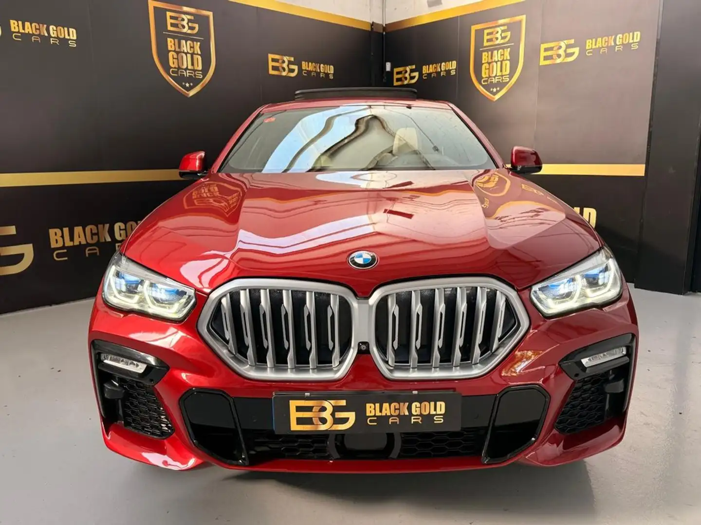 BMW X6 xDrive 30dA Burdeos - 2