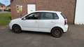 Volkswagen Polo 1.9 TDI Comfortline - airco - turbo defect Wit - thumbnail 15