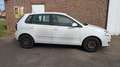 Volkswagen Polo 1.9 TDI Comfortline - airco - turbo defect Wit - thumbnail 6