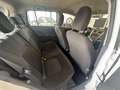 Suzuki Celerio 1.0 Comfort Blanco - thumbnail 3