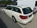 Mercedes-Benz E 250 T BlueEFFICIENCY 7G-TRONIC Avantgarde Білий - thumbnail 4