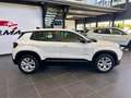 Jeep Avenger 1.2 Turbo 100 CV Altitude Alb - thumbnail 4