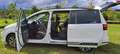 Volkswagen Sharan Sharan 2.0 TDI DSG Comfortline Black Style Blanc - thumbnail 12