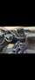 Mercedes-Benz CL 220 C220d T Bluetec Schwarz - thumbnail 5