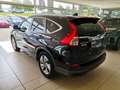 Honda CR-V 2.0 i-VTEC Lifestyle Plus 4WD Xenon|Winter Schwarz - thumbnail 7