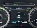 Kia Niro 1,6 GDI Platin Plug-In Hybrid ACC CarPlay *Extras* Grigio - thumbnail 28