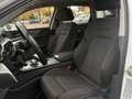 Audi A6 A6 Avant 40 2.0 tdi  Business  s-tronic TETTO APR Bianco - thumbnail 8