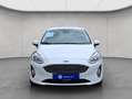 Ford Fiesta 1.5 TDCi S&S TITANIUM ACC+NAVI Weiß - thumbnail 10