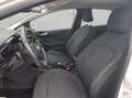 Ford Fiesta 1.5 TDCi S&S TITANIUM ACC+NAVI Weiß - thumbnail 11
