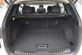 Renault Koleos 2.0 dCi 4WD Intense LED Navi Pano Kamera Weiß - thumbnail 8