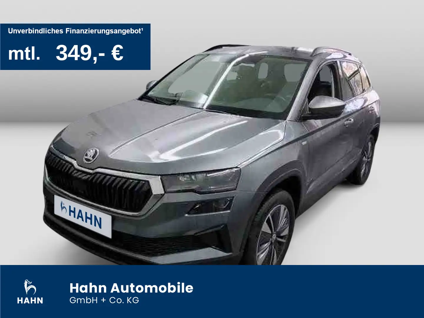 Skoda Karoq 2.0TDI DSG 4x4 Tour AHK Cam Navi Standheiz Grau - 1