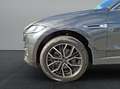 Jaguar F-Pace F-PACE 30d Portfolio Pano Winter Pack DAB Keyles Grau - thumbnail 9
