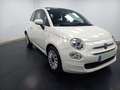 Fiat 500 LOUNGE 1.0 6V HYBRID 52KW (70 CV) Blanc - thumbnail 1