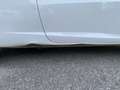 SEAT Ibiza SportCoupé Chili 1,2 - thumbnail 14