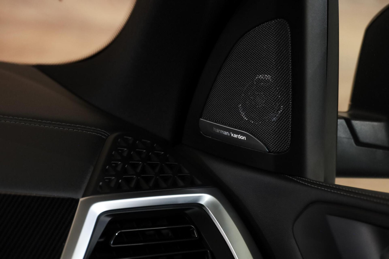 BMW X5 xDrive50e M-Sport|Individual|Skylounge|HUD|360|H&K — photo 22