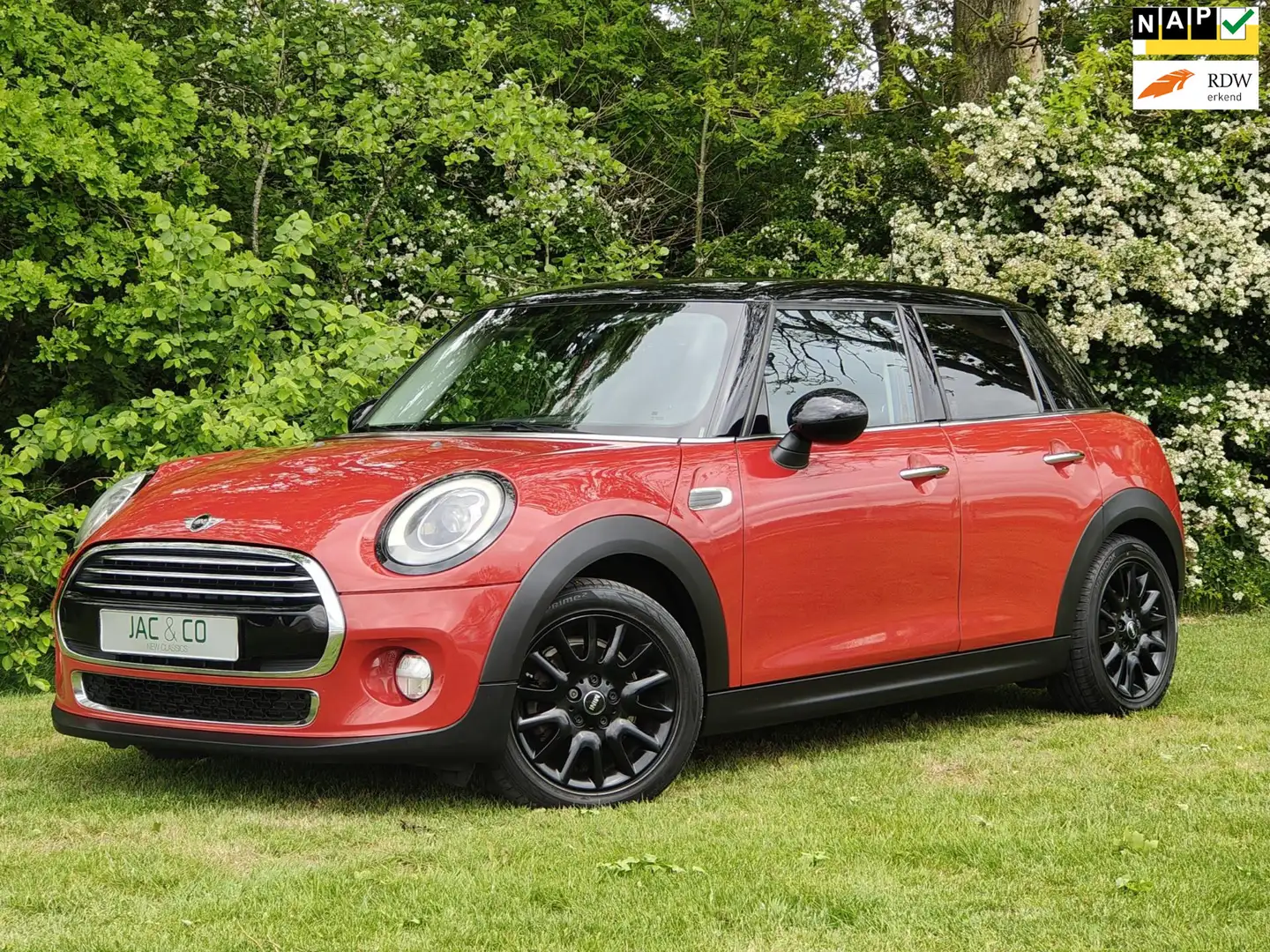 MINI Cooper Mini 1.5 Chili Business Navi Black-Line Rouge - 1