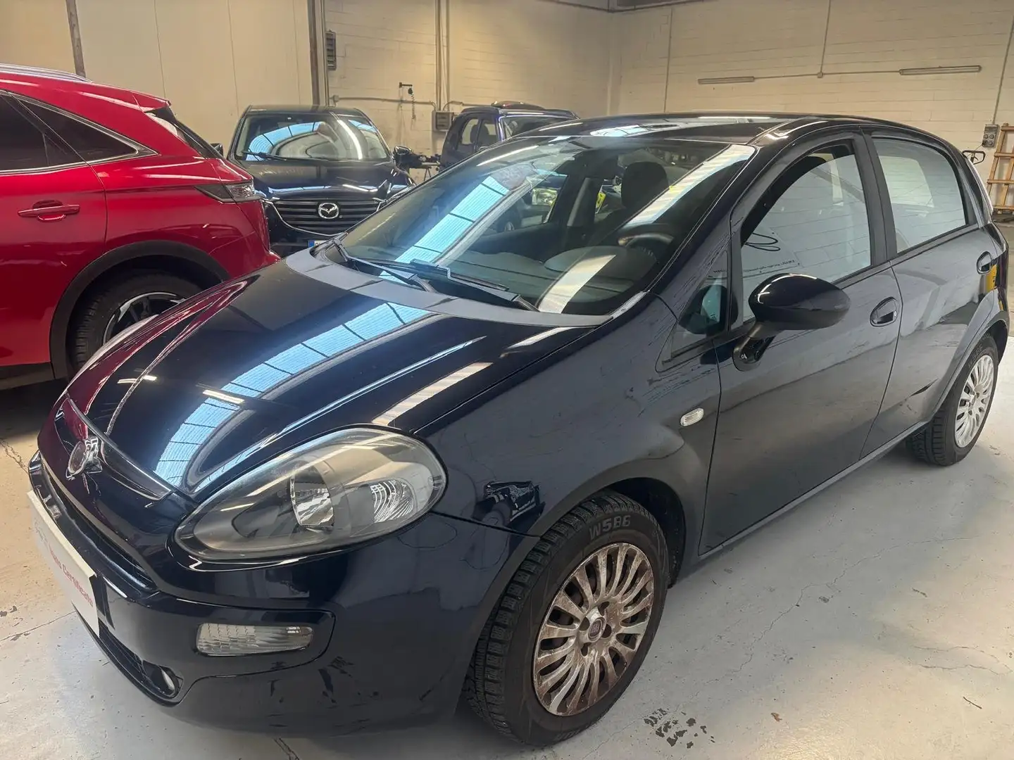 Fiat Punto Evo Punto III 2009 Evo 5p 1.2 Dynamic s Blau - 1