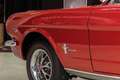 Ford Mustang 289cv Rouge - thumbnail 26