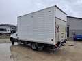 Iveco DAILY  35C 14 2.3 HDI Blanc - thumbnail 3
