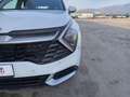 Kia Sportage Sportage 1.6 crdi mhev Business dct Bianco - thumbnail 18