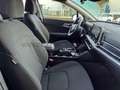 Kia Sportage Sportage 1.6 crdi mhev Business dct Bianco - thumbnail 25