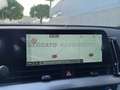 Kia Sportage Sportage 1.6 crdi mhev Business dct Bianco - thumbnail 24