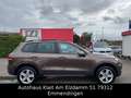 Volkswagen Touareg V6 TDI BMT TerrainTec Pano Brun - thumbnail 7