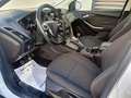 Ford Focus 1.0 Ecoboost Auto-S&S Titanium 125 Blanco - thumbnail 9