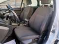 Ford Focus 1.0 Ecoboost Auto-S&S Titanium 125 Blanco - thumbnail 10