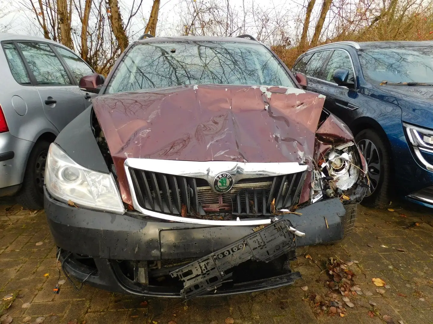 Skoda Octavia +VERKAUF an GEWERBE + EXPORT Rot - 2
