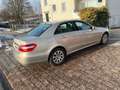 Mercedes-Benz E 200 BlueEFFICIENCY 7G-TRONIC Avantgarde*Tūv New Or - thumbnail 14