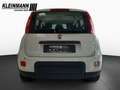 Fiat Panda "Pandina Urban" 1.0 GSE Hybrid (71 PS) Weiß - thumbnail 7