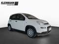 Fiat Panda "Pandina Urban" 1.0 GSE Hybrid (71 PS) Weiß - thumbnail 2