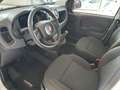Fiat Panda "Pandina Urban" 1.0 GSE Hybrid (71 PS) Weiß - thumbnail 9