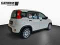 Fiat Panda "Pandina Urban" 1.0 GSE Hybrid (71 PS) Weiß - thumbnail 6