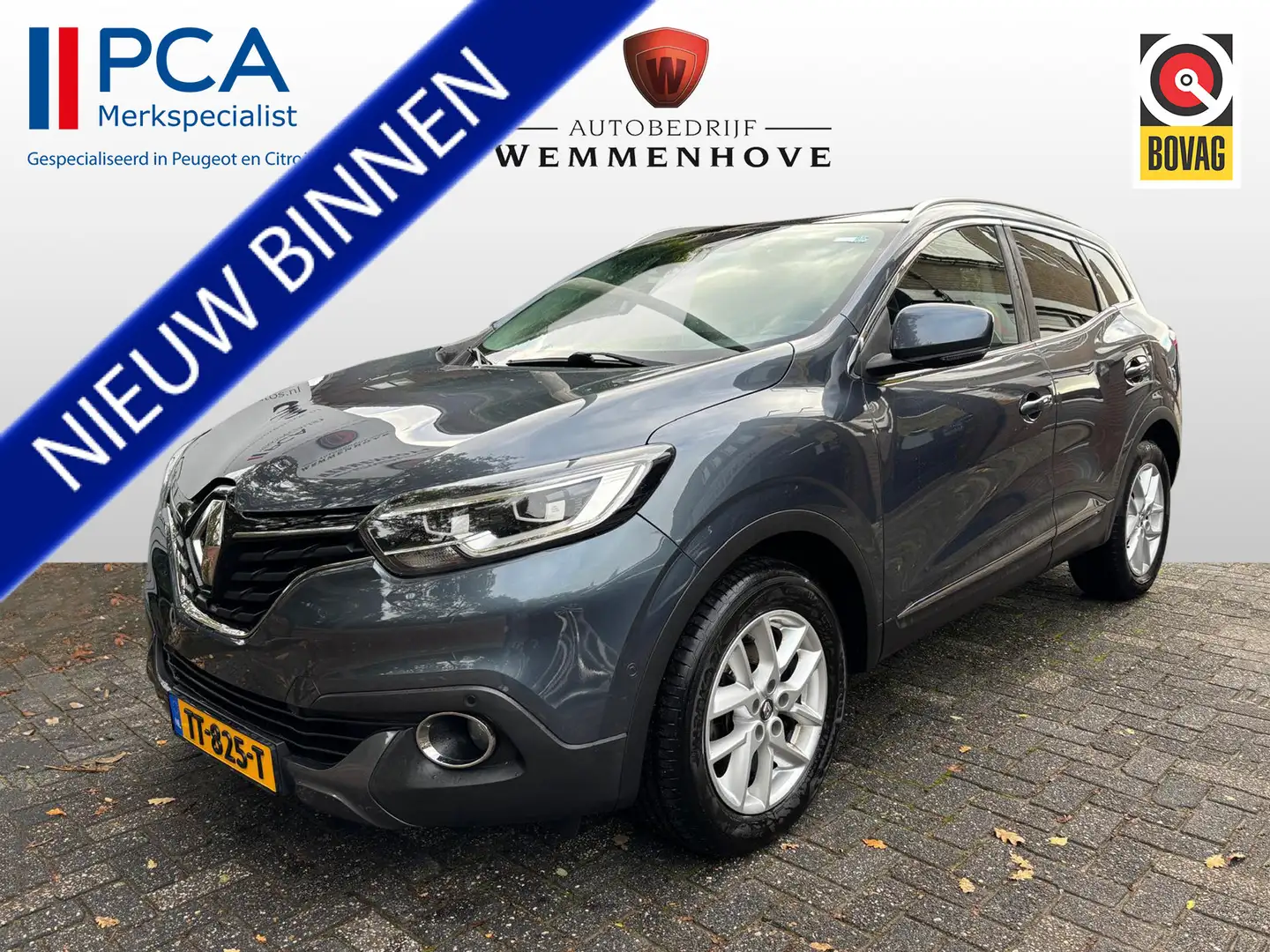 Renault Kadjar 1.2 TCe Intens Szary - 1