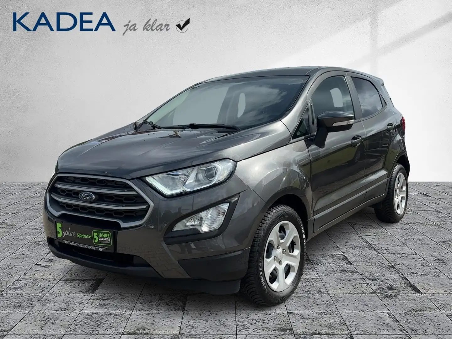 Ford EcoSport Trend PDC*Klima*Sitzheizung*Allwetterrei Grijs - 2