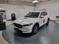 Mazda CX-5 2.2 Evolve 2wd 150cv auto Wit - thumbnail 16
