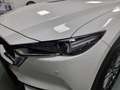 Mazda CX-5 2.2 Evolve 2wd 150cv auto Wit - thumbnail 19